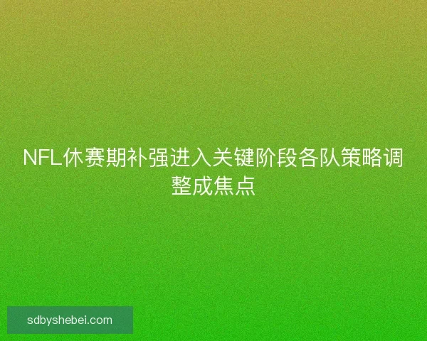 NFL休赛期补强进入关键阶段各队策略调整成焦点