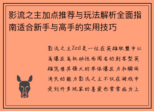影流之主加点推荐与玩法解析全面指南适合新手与高手的实用技巧
